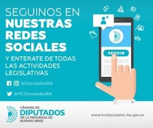 Banner Diputados