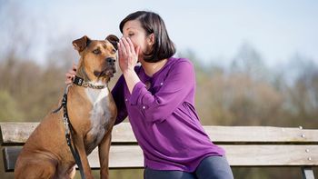¿Hablar con los animales está bien?, qué dice la psicología