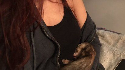 Dolor en las redes: murió el hurón Coquito, la fiel mascota de Oriana Sabatini