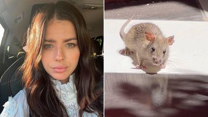 La China Suárez encontró una rata en su casa y su reacción fue increíble