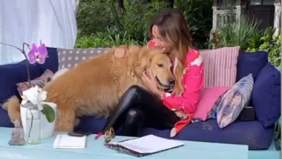 La sentida carta de Vero Lozano tras su más reciente pérdida: 