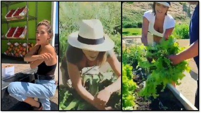 Los insólitos videos de la 