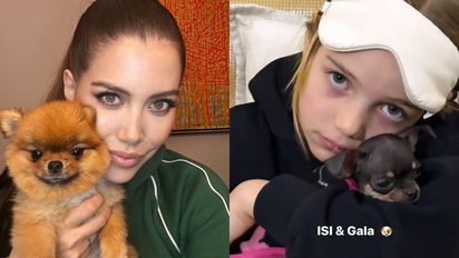 wanda nara mostro las comodas camas en las que duermen sus perras en turquia wanda nara mostro las comodas camas en las que duermen sus perras en turquia