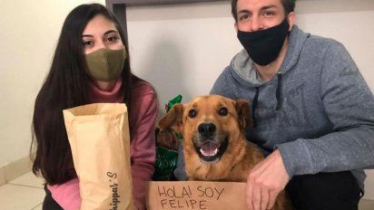 Felipe, un perro cordobés que vende 