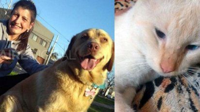 Coronavirus: Los vecinos de una enfermera mataron a sus mascotas para que deje el barrio