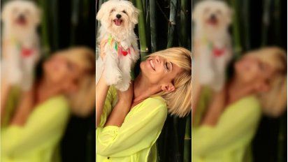 La actriz Eugenia Tobal nos  permitió conocer a través de su Instagram a Romeo su perro. La mascota sufrió un accidente y los seguidores se preocuparon 