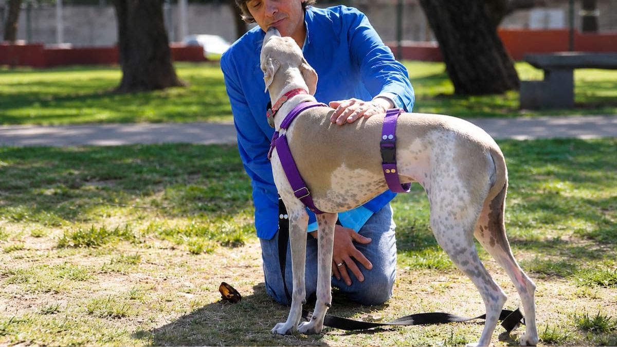 Robertito Funes se emociona al reencontrarse con Gala, la perrita que rescató de las inundaciones