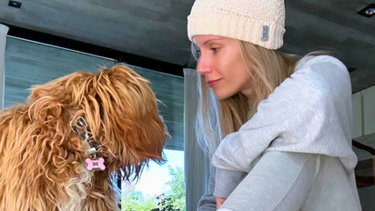 El insólito accidente de Laurita Fernández con su mascota, Miel