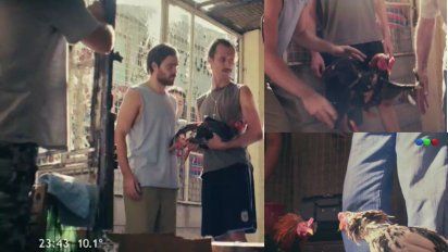 A un día del debut ya hay escándalo con Un gallo para Esculapio: la riña de gallos despertó furias