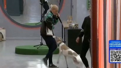 Polémica actitud de Furia de Gran Hermano con Arturo: ¿Qué pasó?