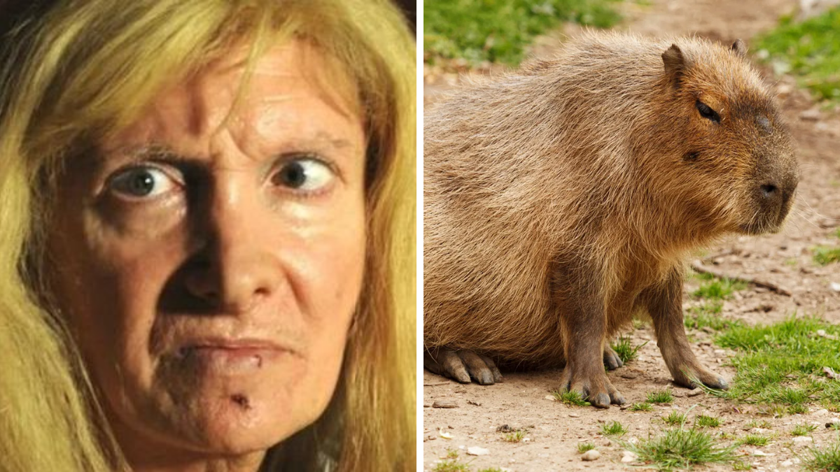 Carpinchos de Nordelta: Zulma Lobato quiere uno