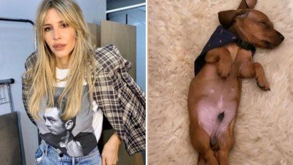 Guillermina Valdes presentó a su perrita luego de su separación 