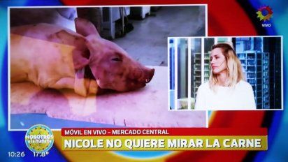 La insólita pelea al aire entre Nicole Neumann y Andrea Campbell por un chancho