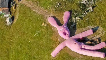 Conejo gigante aparece en google maps con órganos expuestos