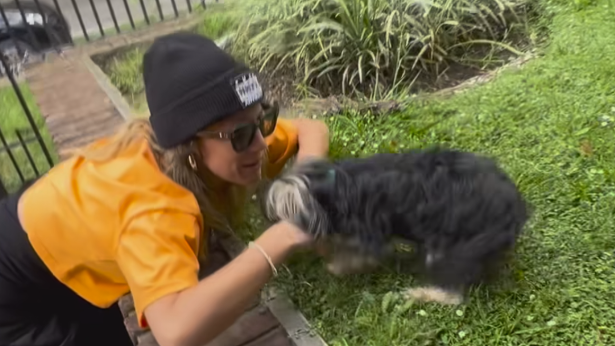el tierno reencuentro de mica, la hija de sergio lapegüe con su mascota el tierno reencuentro de mica, la hija de sergio lapegüe con su mascota