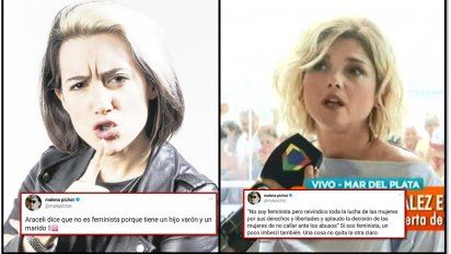 Malena Pichot esta vez se la agarró con Araceli:  ''Sí sos feminista, un poco imbécil también'' 