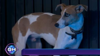 Cande Tinelli también pidió que saquen a Arturo de la casa de 'Gran Hermano'