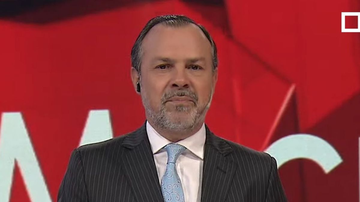 ¿Quiénes Acompañan Al Gato Sylvestre En Su Programa De C5N?