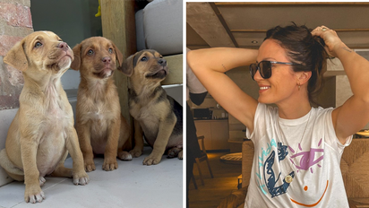 Paula Chaves conmovió a sus seguidores al mostrar cómo salvó a unos perritos abandonados