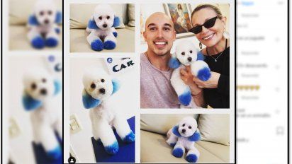 Con los perros no: Carmen Barbieri le hizo un cambio de look al perro y la destrozan en las redes