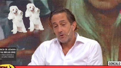 Acusan al hermano de Mariana Nannis de secuestra a dos caniches y pedir recompensa