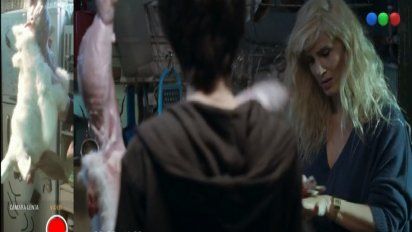 Las redes enfurecidas por una escena con Griselda Siciliani despellejando a un conejo en Morir de amor