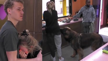 ¿Qué es el congelado en 