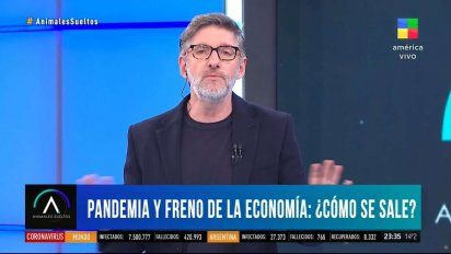 Rating: Intrusos y Animales sueltos al rescate de América TV