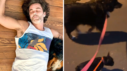 Mariano Martínez: después de una noche exitosa, sacó a pasear a los perros a las 6 AM