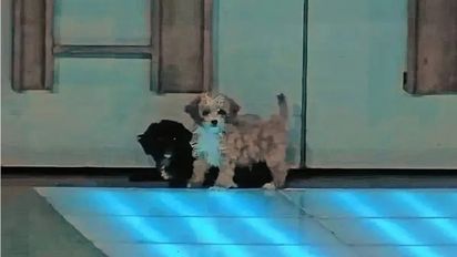 'Gran Hermano': Santiago Del Moro informó una contundente decisión sobre Caramelo y Mora