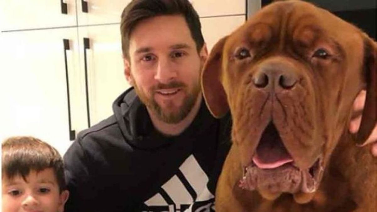 Sorprende la ausencia del perro de Messi en el desembarco en París