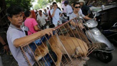 China inauguró su festival anual de carne de perro 
