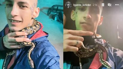 ¡Sorprendente video! L-Gante se grabó con una serpiente