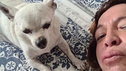 Lizy Tagliani despide a Benito, su fiel perro que la acompañó por casi 20 años