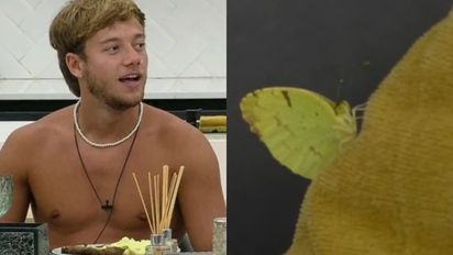'Gran Hermano': una mariposa entró a la casa cuando Nacho hablaba del encuentro con su abuela
