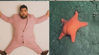 Los ingeniosos memes que deja el streaming de 