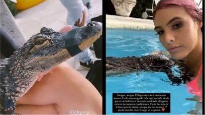 Stefi Roitman y Lele Pons acusadas de maltrato animal