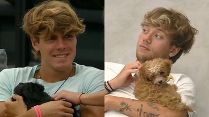¿Está bien que a los cachorros de 'Gran Hermano' los adopten por separado?