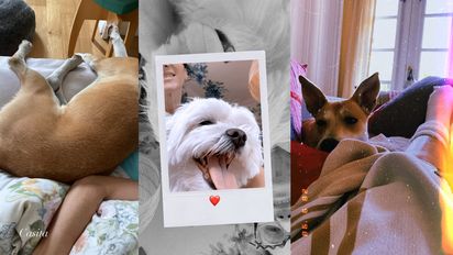 Verónica Lozano ya está en su casa