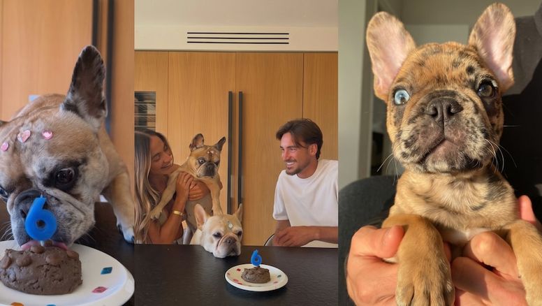 Caro Calvagni y Nicolás Tagliafico celebraron el sexto cumpleaños de su mascota