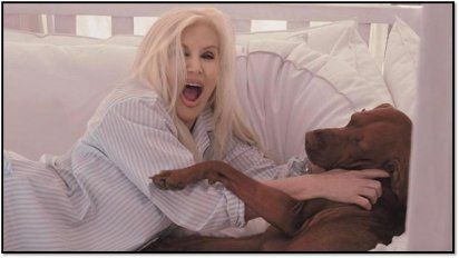 Susana Giménez sufrió un insólito accidente por culpa de uno de sus perros