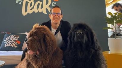 Los imponentes perros de Diego Ramos: ¿Cuántos son y de qué raza?