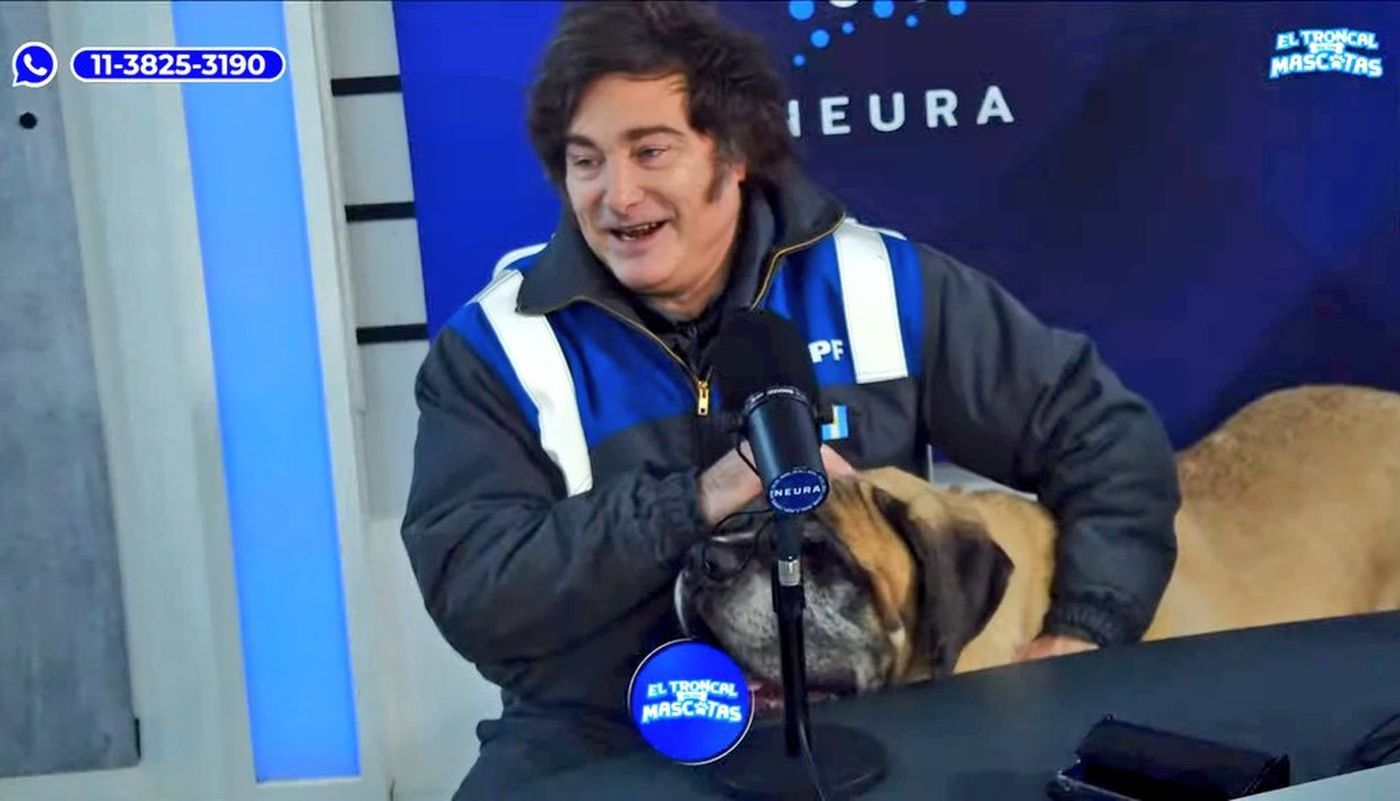 Los números del streaming donde Javier Milei presentó a su perro Conan