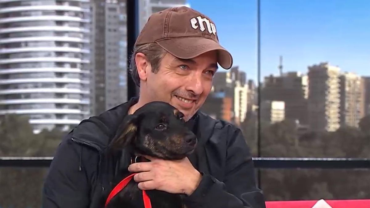 Ricardo Darín rescató un perrito y lo llevó a la TV 