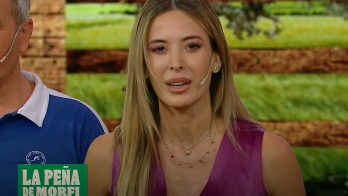 El curioso posteo de Jésica Cirio en sus historias de Instagram