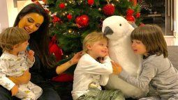 ¡Lista para Navidad! Pilar Rubio armará su arbolito con sus hijos