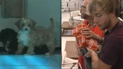 'Gran Hermano': el accidente que sufrió Caramelo en la pileta