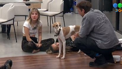 Así estuvo el rating de 