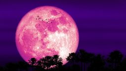 Horóscopo: ¿Cómo afectará la luna rosa del sábado a cada signo del zodíaco?